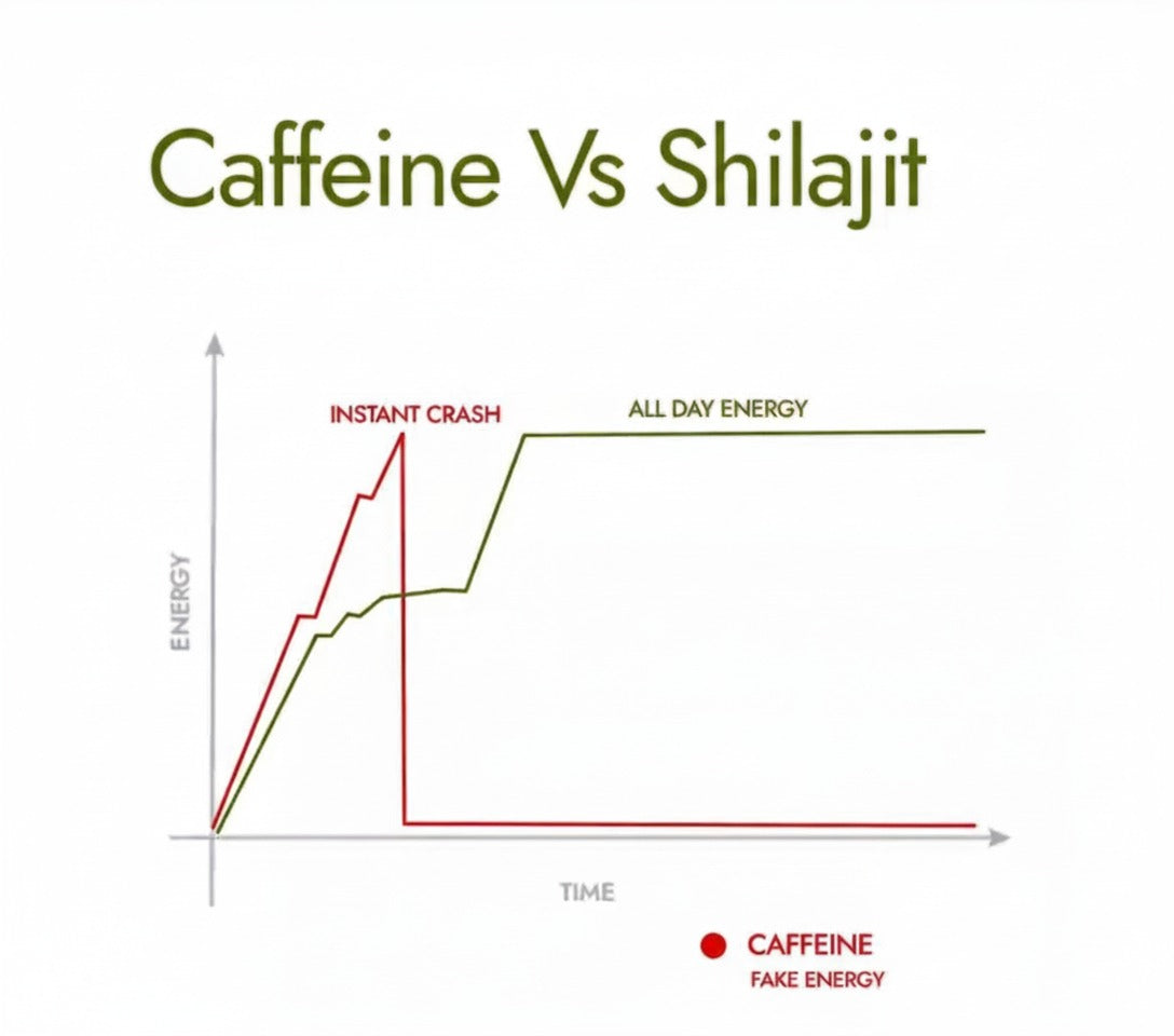 Jivaia Himalayan Shilajit Resin 10g