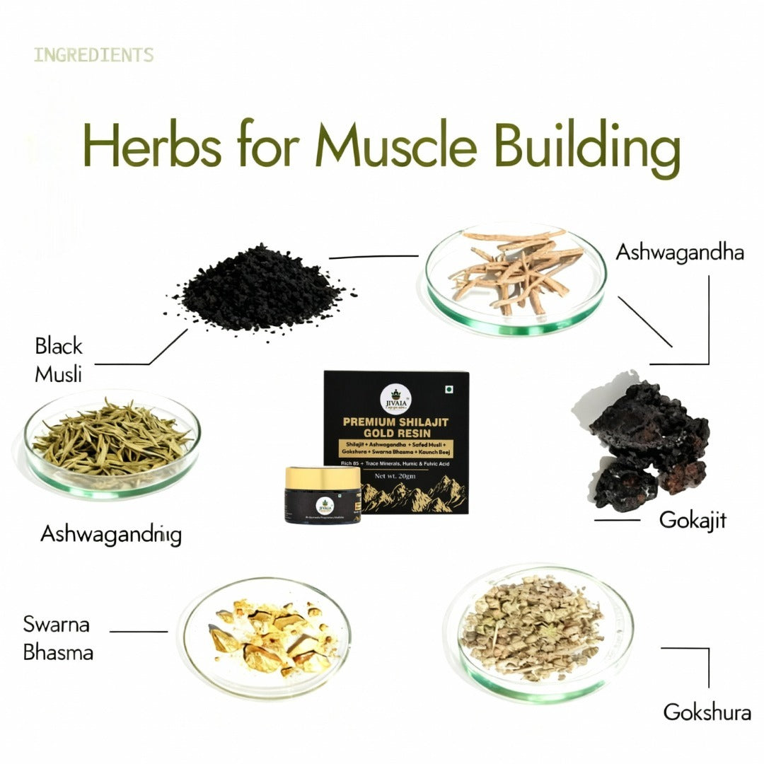 Jivaia  Shilajit Gold Resin 20g