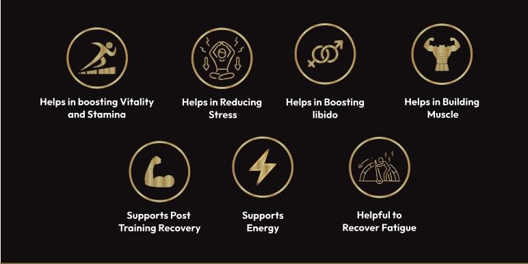 Combo of 2 Jivaia Shilajit Resin 10g